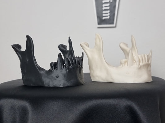 Vampire Jaw Smartphone Holder Card Holder "FangGrip", 3D-PRINTED