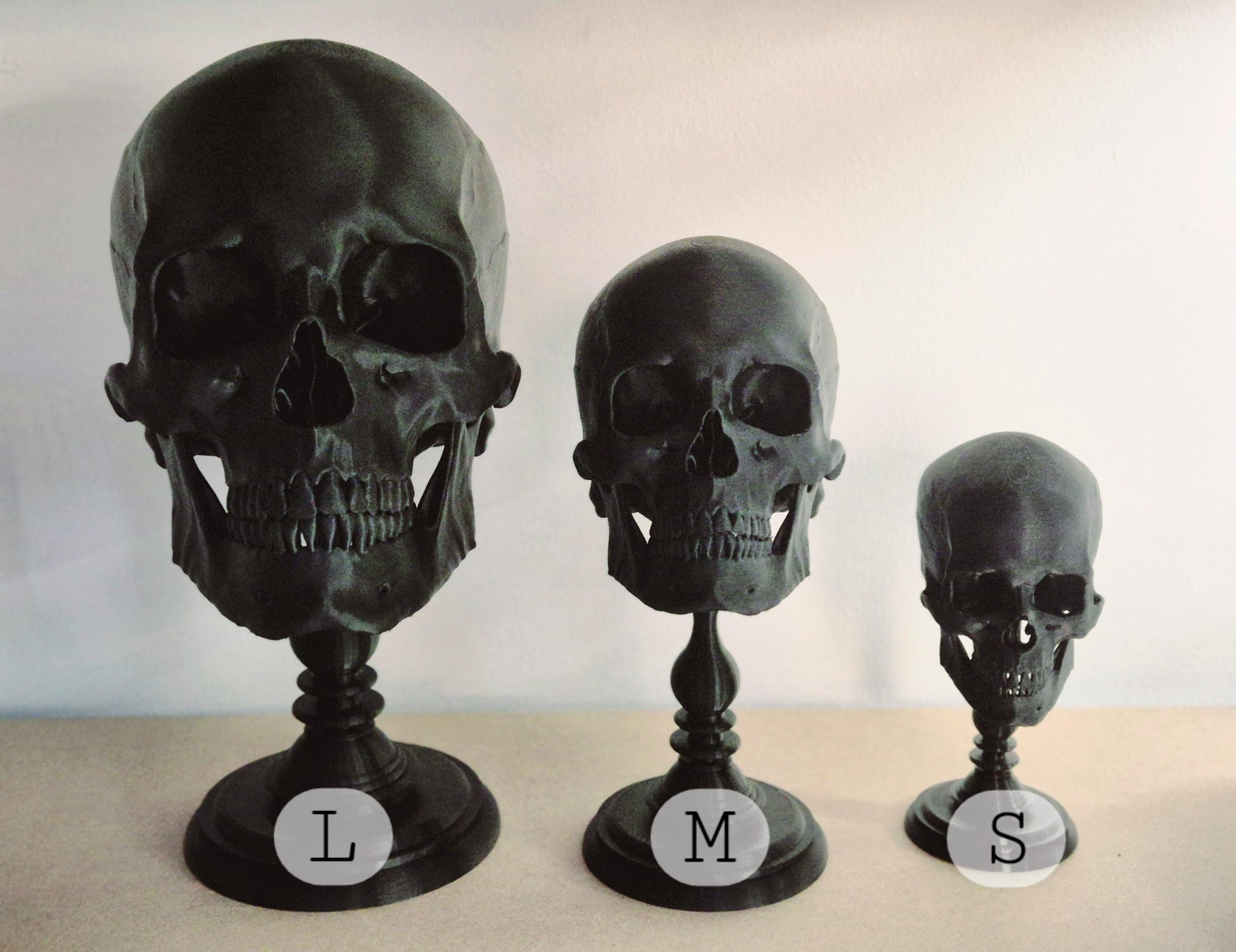 Realistic Human Skull Replica with Detachable Plinth "Hannibal"