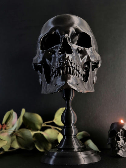 Realistic Human Skull Replica with Detachable Plinth "Hannibal"