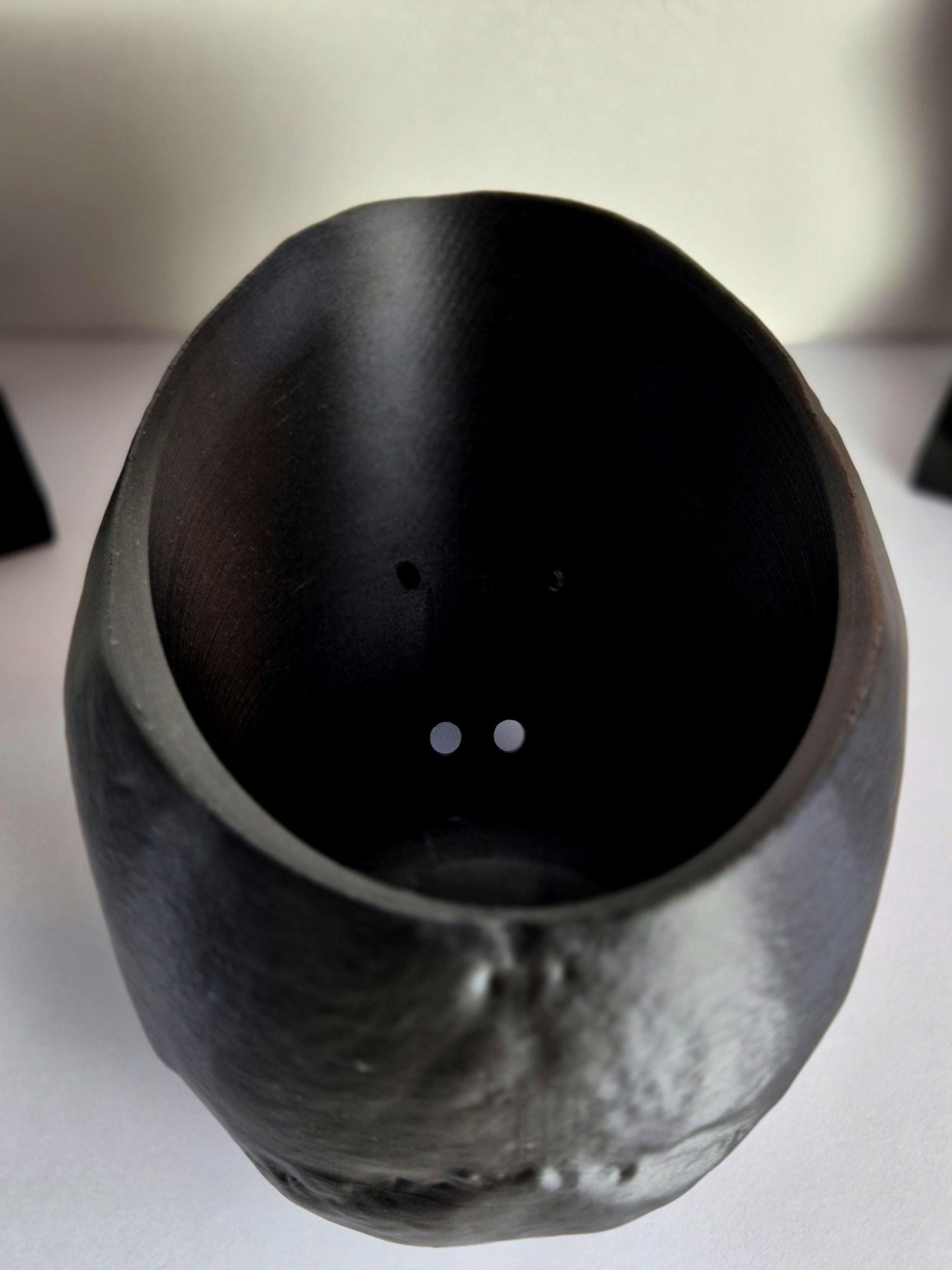 Human Skull Plant Pot