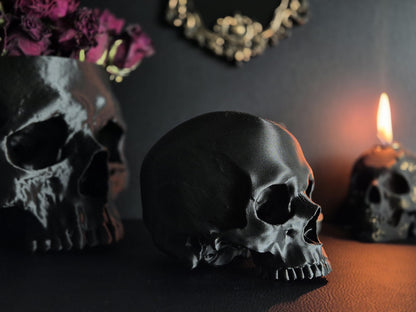 Realistic Human Skull, Skull Replica with Detachable Plinth, 3D-PRINTED