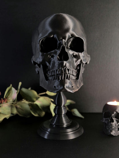 Realistic Human Skull Replica with Detachable Plinth "Hannibal"