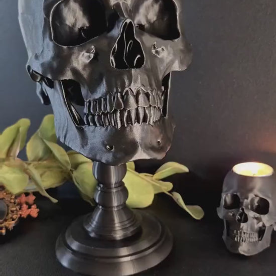 Realistic Human Skull Replica with Detachable Plinth "Hannibal"